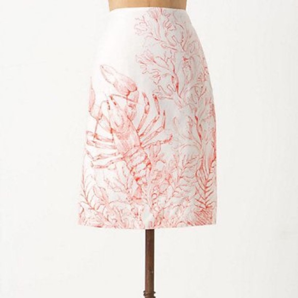 North coast skirt